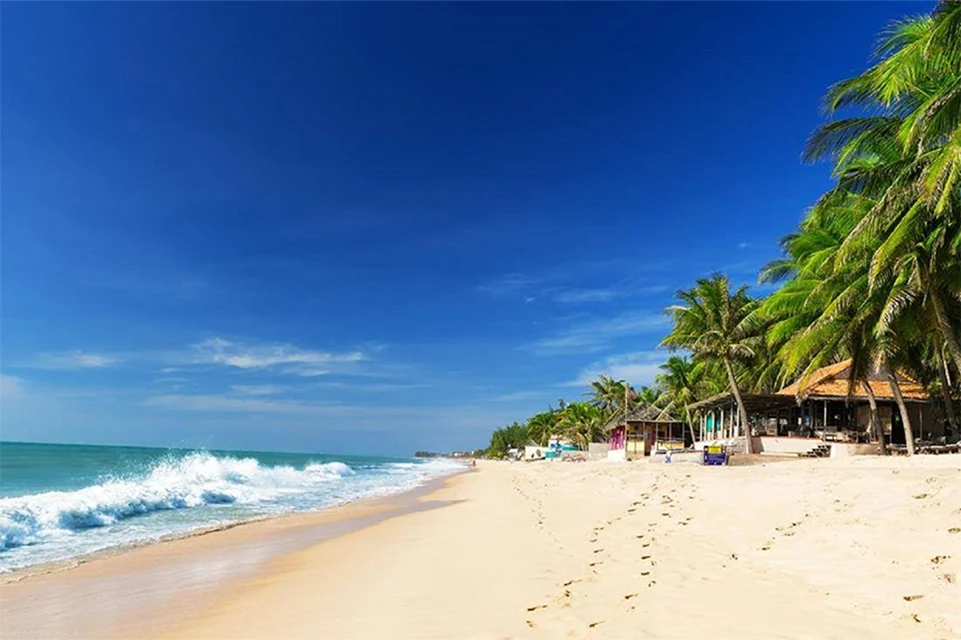 Bãi biển Mũi Né yên bình với hàng dừa và sóng biển nhẹ