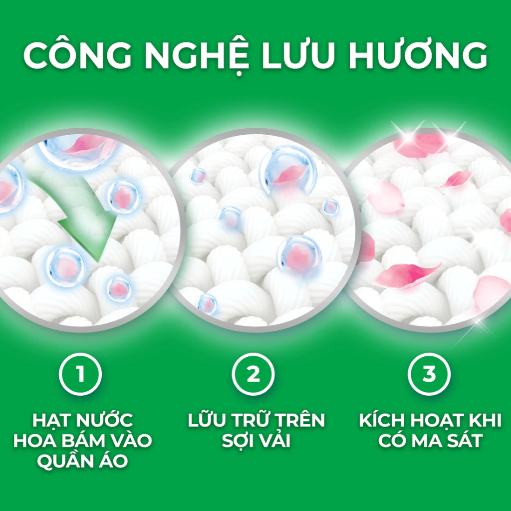 Các phiên bản nước giặt Ariel cửa trước: hương nắng sớm và Downy nước hoa