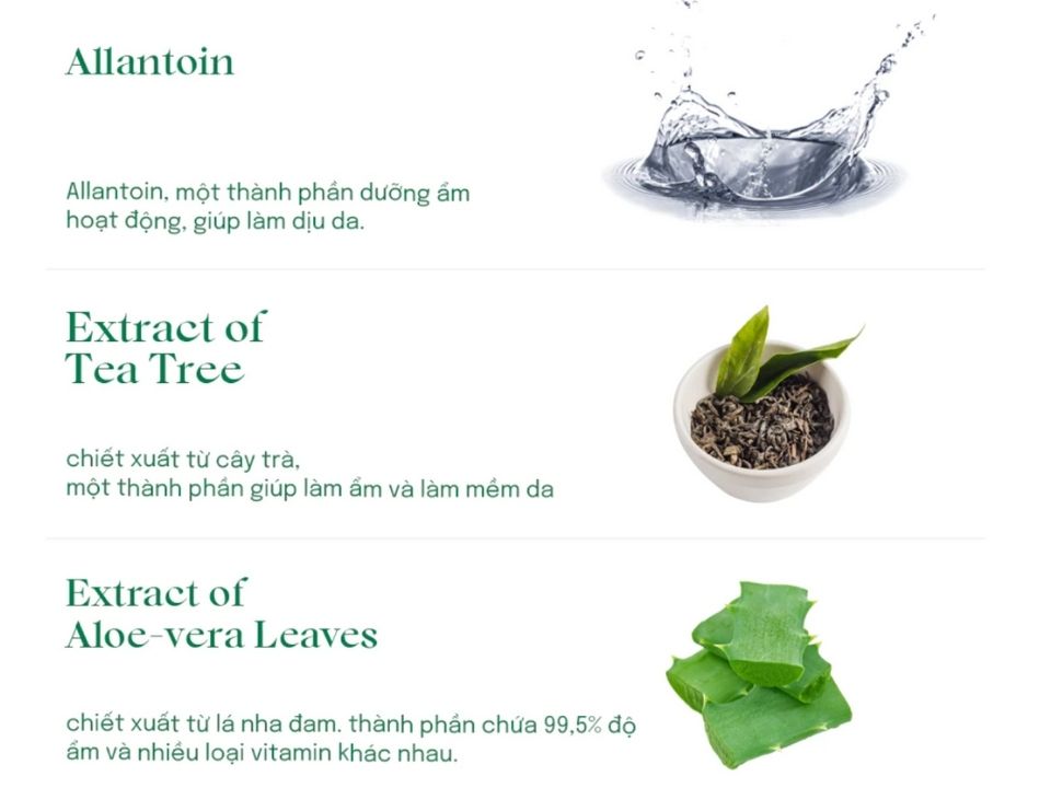 Chiết xuất Centella Asiatica (Rau Má) và Houttuynia Cordata (Diếp Cá)